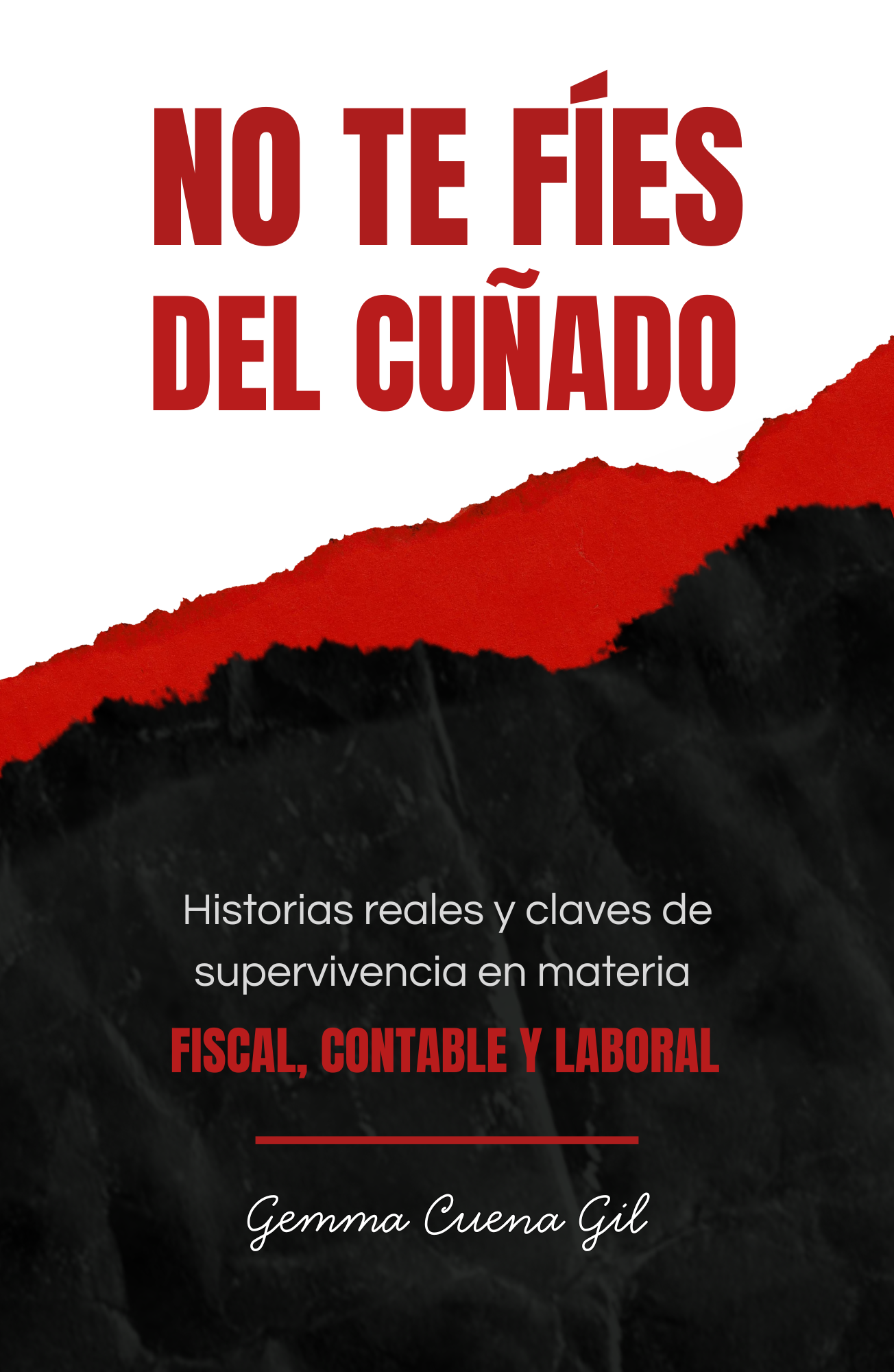portada mejor calidad Logotipo Apiema